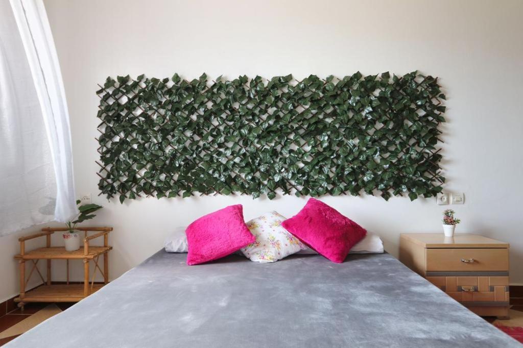 Appartement Lina Chefchaouen Buitenkant foto